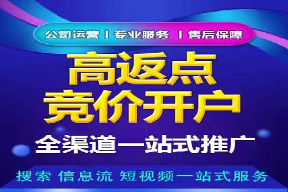 某电商平台的SEM运营托管全记录